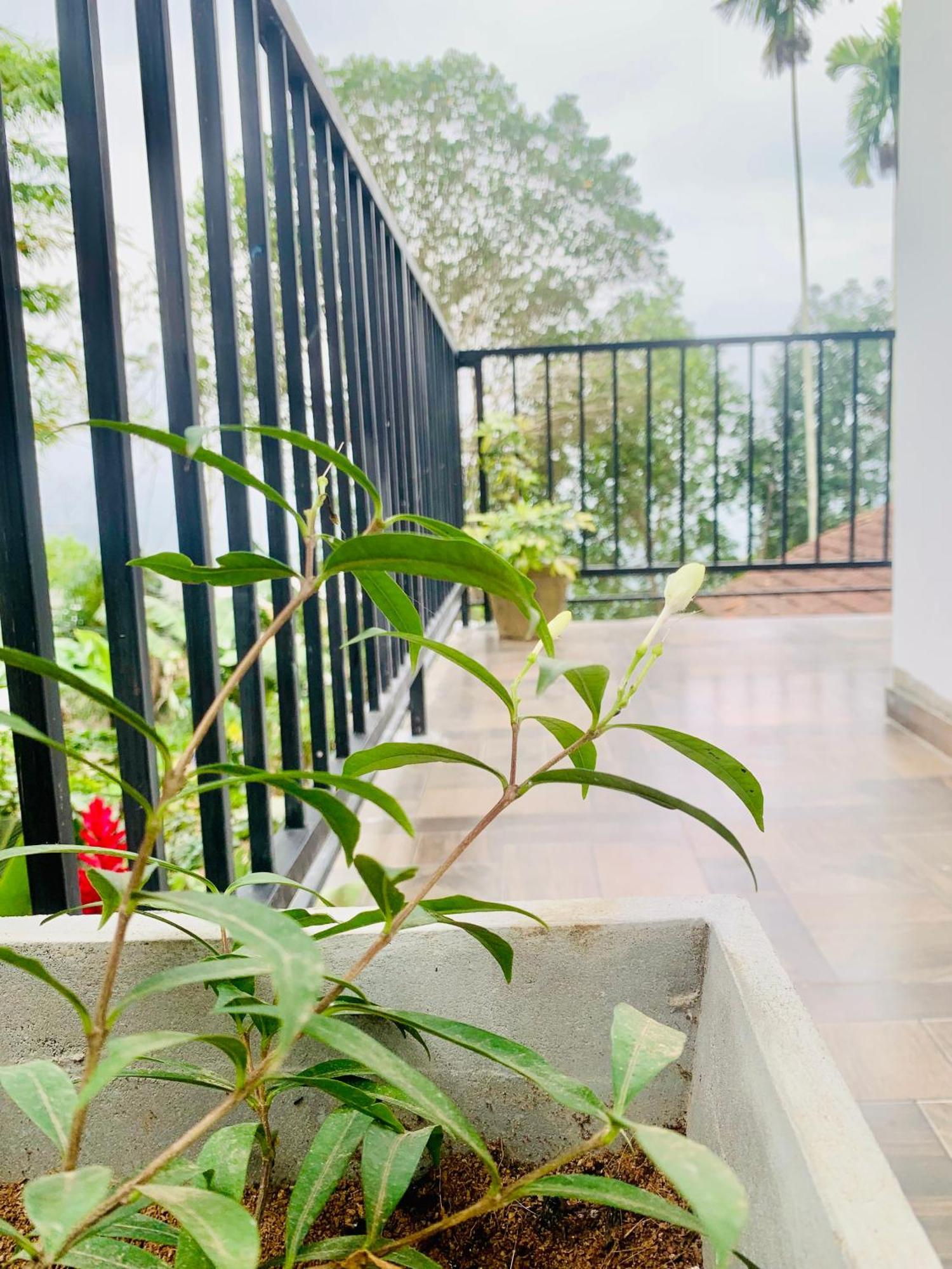 Broad View Apartment Ела Екстериор снимка
