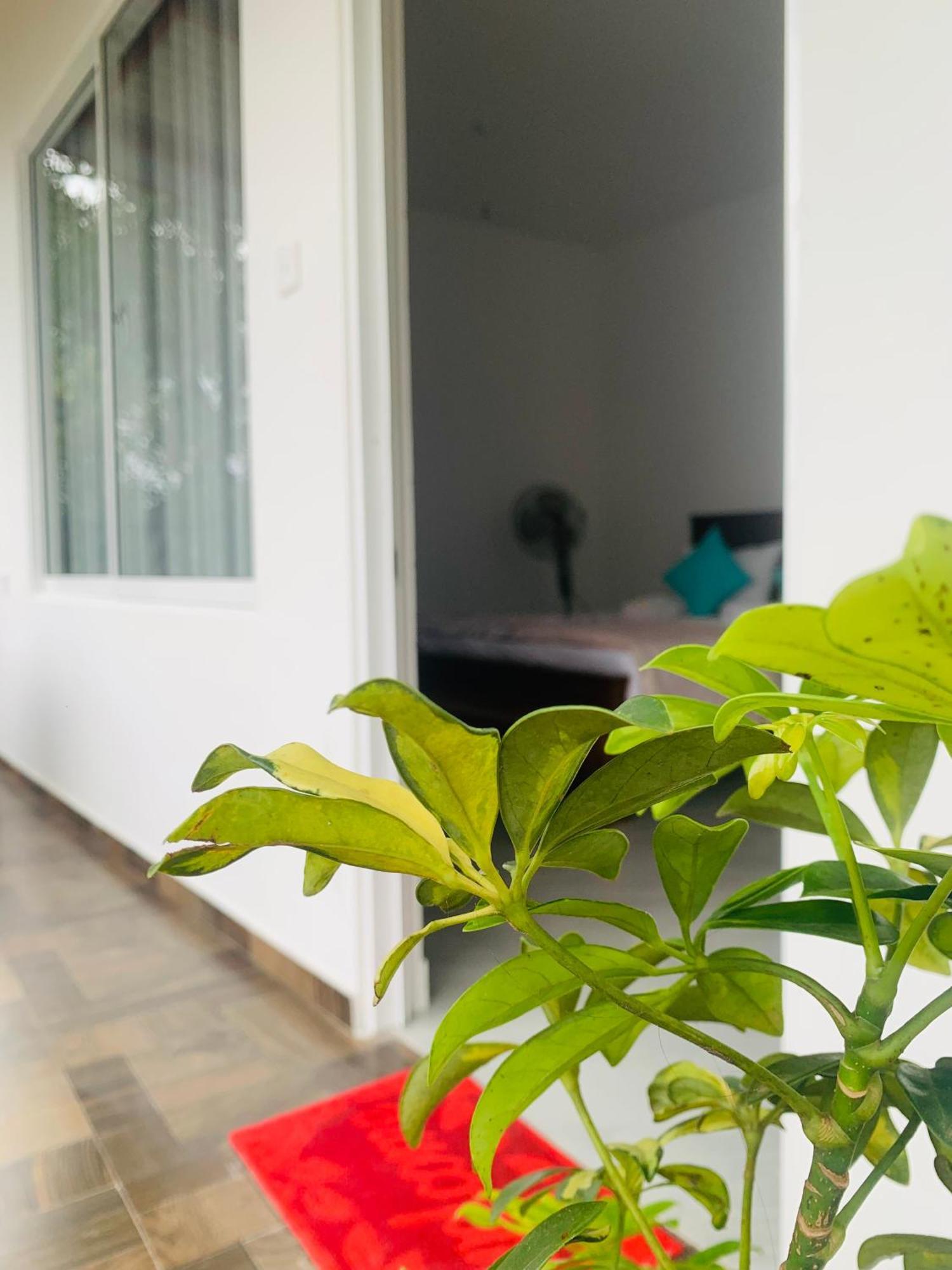 Broad View Apartment Ела Екстериор снимка